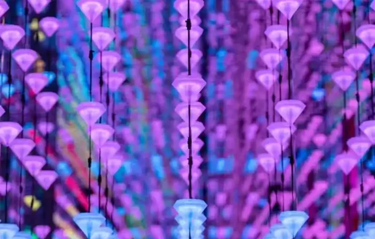 Moco Museum Entrance Ticket Amsterdam Netherlands