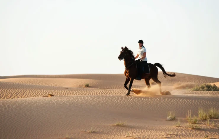 Premium FULL Desert Safari Dubai Package Horse Bike SUV Camel, Food, Shows (1)