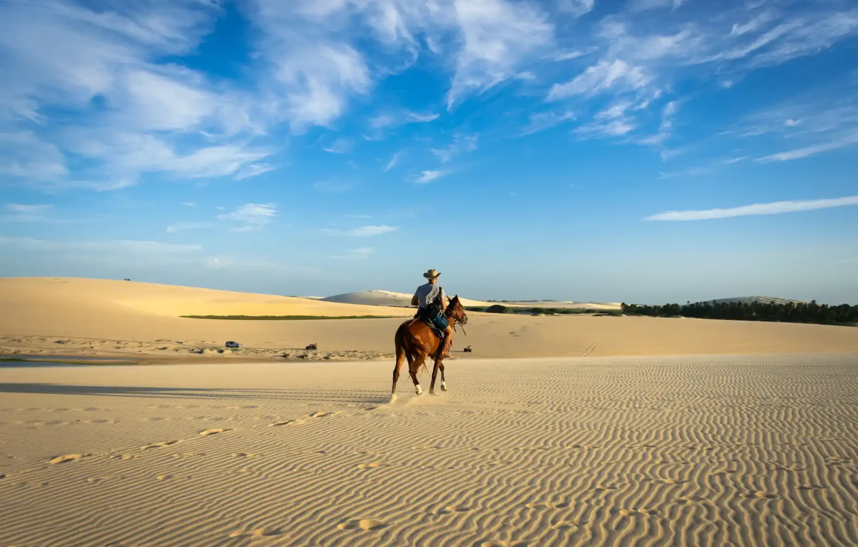 Premium FULL Desert Safari Dubai Package Horse Bike SUV Camel, Food, Shows Premium FULL Desert Safari Dubai Package Horse Bike SUV Camel, Food, Shows