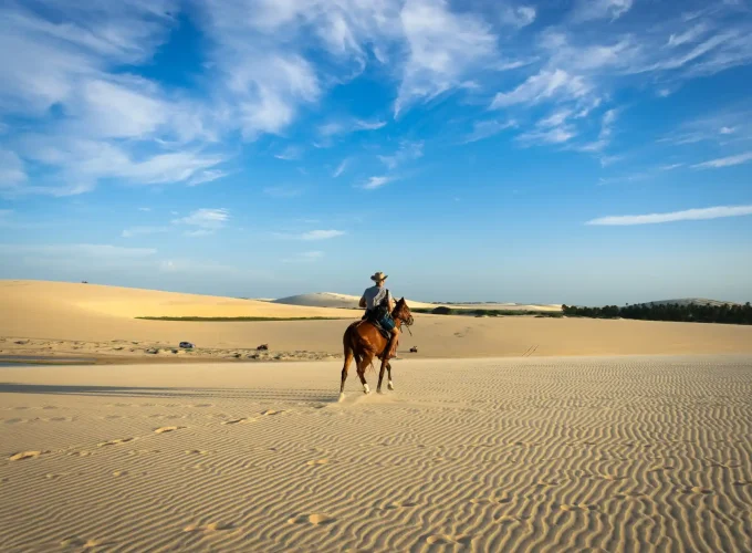 Premium FULL Desert Safari Dubai Package Horse Bike SUV Camel, Food, Shows