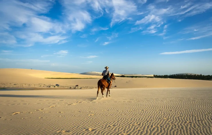 Premium FULL Desert Safari Dubai Package Horse Bike SUV Camel, Food, Shows