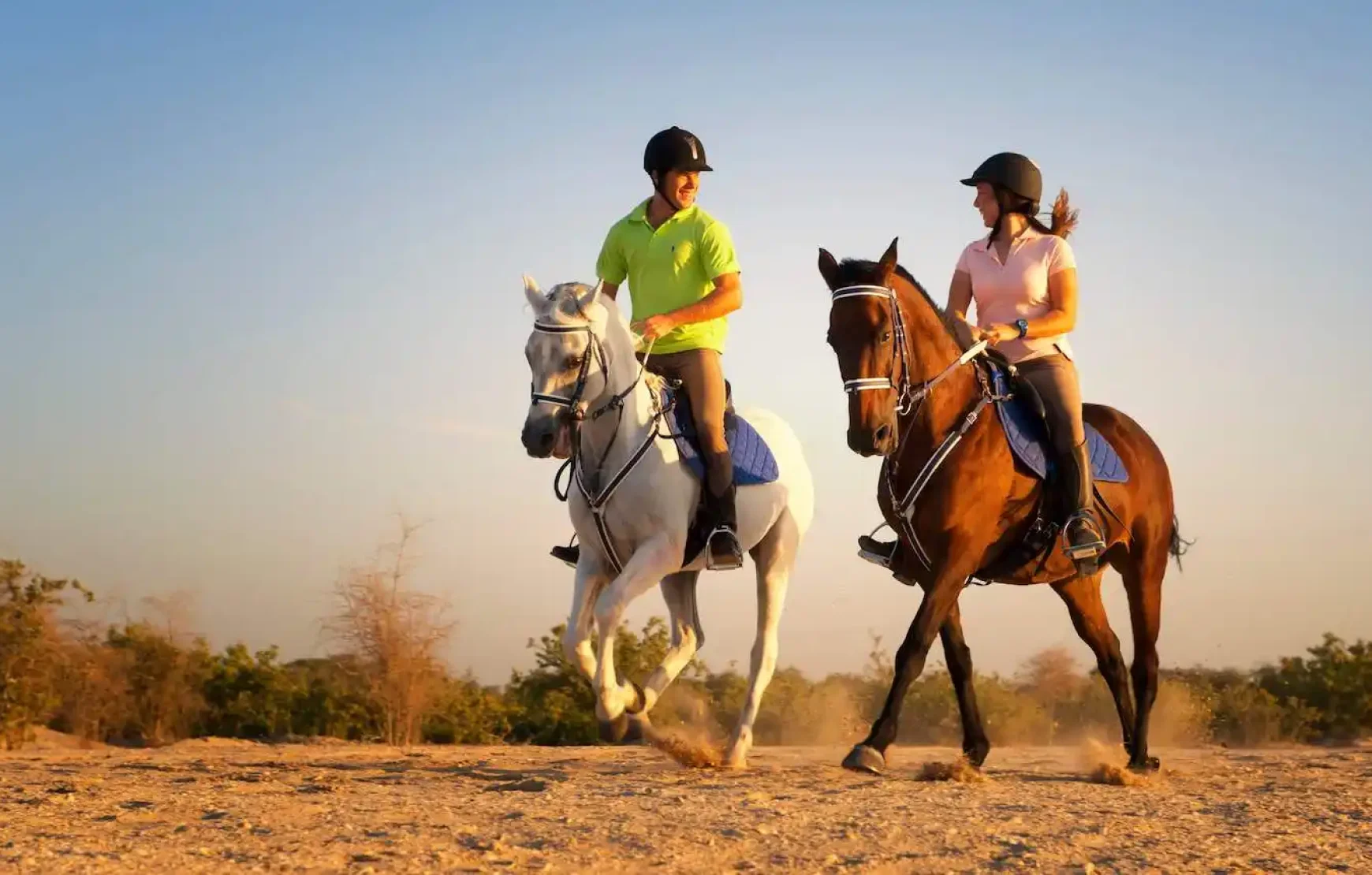 Premium FULL Desert Safari Dubai Package Horse Bike SUV Camel, Food, Shows Premium FULL Desert Safari Dubai Package Horse Bike SUV Camel, Food, Shows