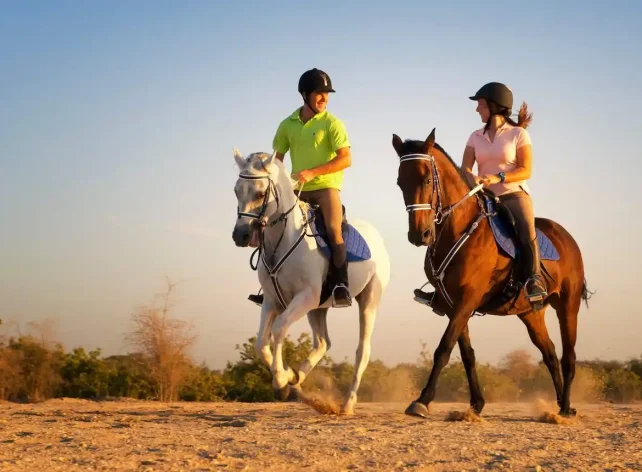 Premium FULL Desert Safari Dubai Package Horse Bike SUV Camel, Food, Shows