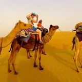 Desert Camp Activities