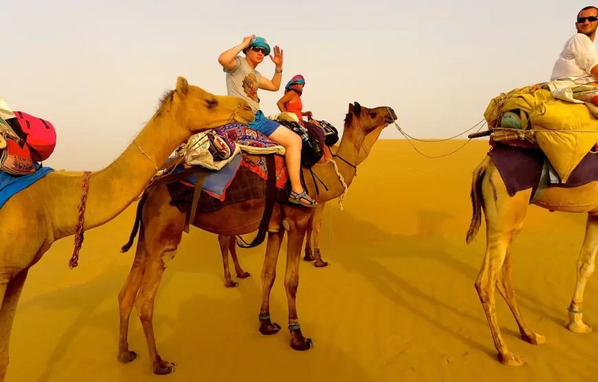 Full Day Desert Safari in Dubai with Bike, SUV, Camel, Food, Shows