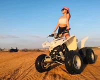 Desert Activities 