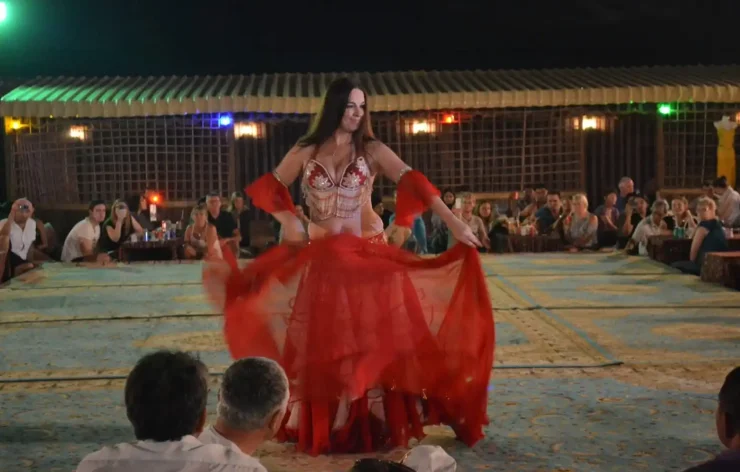 Desert Safari Dubai package live entertainment shows in Dubai desert safari
