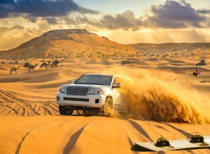 FULL Package Desert Safari Adventures tour Dubai Bike, SUV Camel, Food, Shows