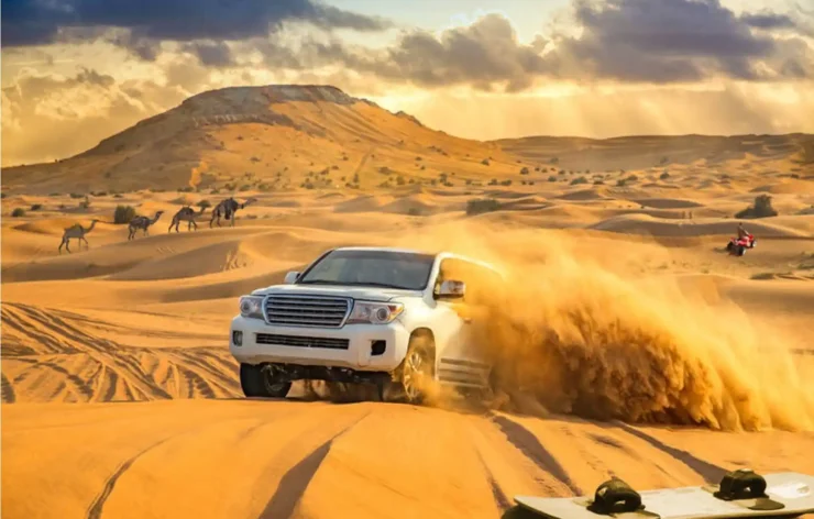 Premium Dubai Desert Safari, SUV, Camel, Food, Shows