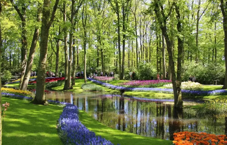Keukenhof Guided Tour from Amsterdam with Ticket & Transportation