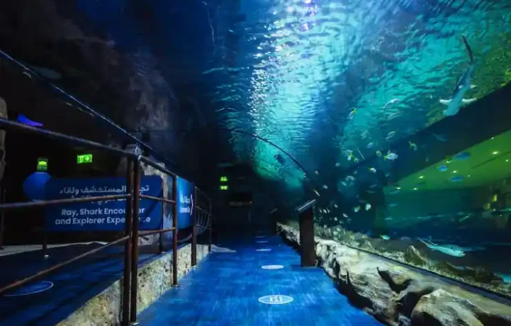 124th Floor Tickets with Dubai Aquarium