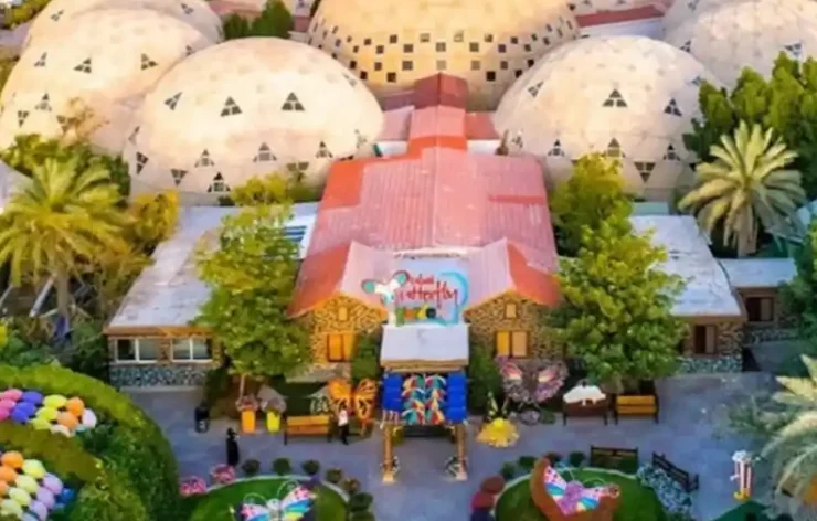 Butterfly-Garden-Dubai-entry-tickets. Dubai Butterfly Garden-a place where more than 15,000 butterflies live