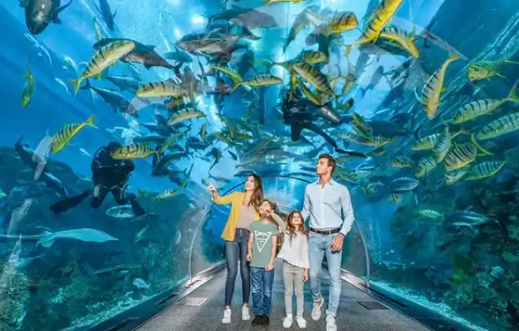 Entry Ticket: Dubai Aquarium & Underwater Zoo