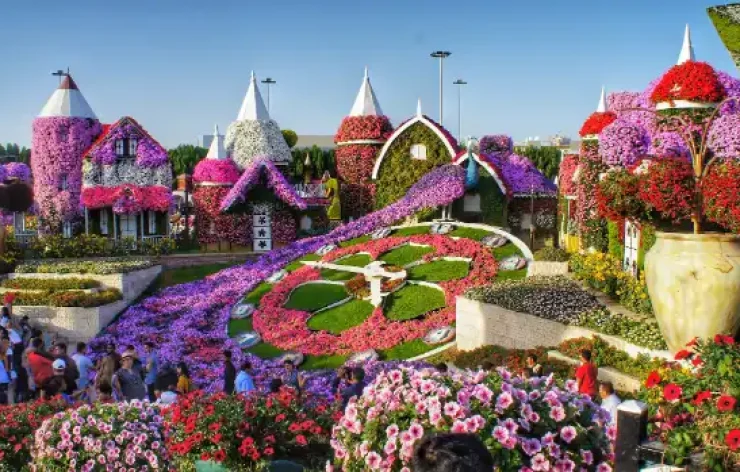 Miracle Garden-Dubai-entry-ticketsThe Dubai Miracle Garden is one of the most beautiful garden in the world. With over 150 million flowers, spanning numerous different species, the largest natural flower garden in the world is deserving of your visit.