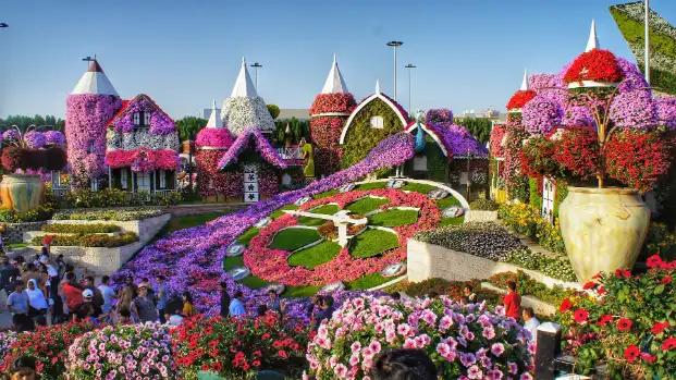 Miracle Garden-Dubai-entry-ticketsThe Dubai Miracle Garden is one of the most beautiful garden in the world. With over 150 million flowers, spanning numerous different species, the largest natural flower garden in the world is deserving of your visit.