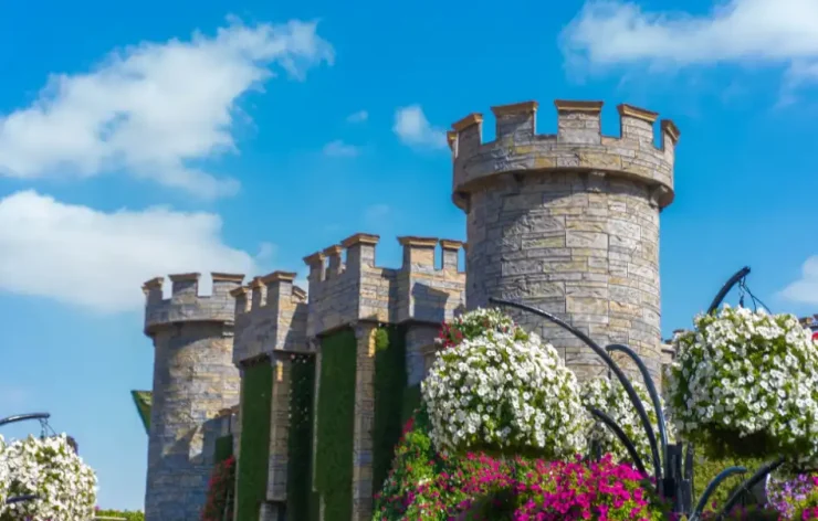 Miracle Garden-Dubai-entry-ticketsThe Dubai Miracle Garden is one of the most beautiful garden in the world. With over 150 million flowers, spanning numerous different species, the largest natural flower garden in the world is deserving of your visit.