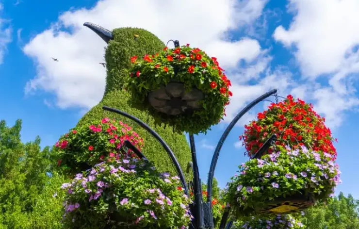 Miracle Garden-Dubai-entry-ticketsThe Dubai Miracle Garden is one of the most beautiful garden in the world. With over 150 million flowers, spanning numerous different species, the largest natural flower garden in the world is deserving of your visit.