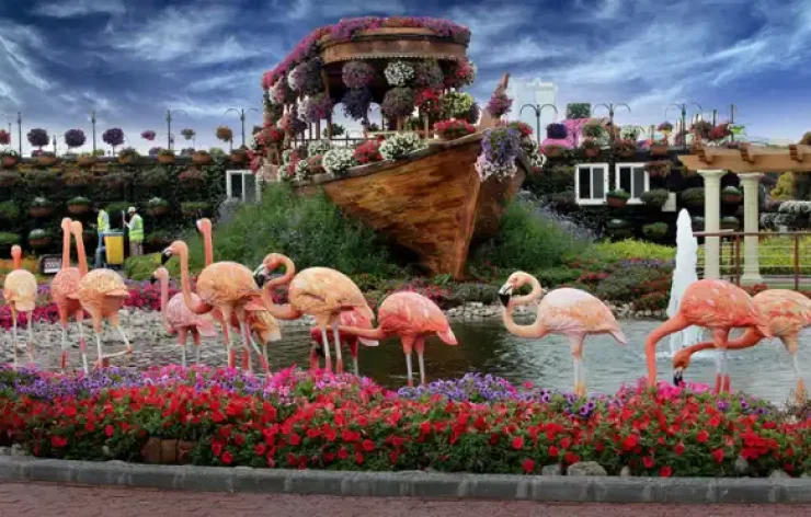 Butterfly-Garden-Dubai-entry-tickets. Dubai Butterfly Garden-a place where more than 15,000 butterflies live