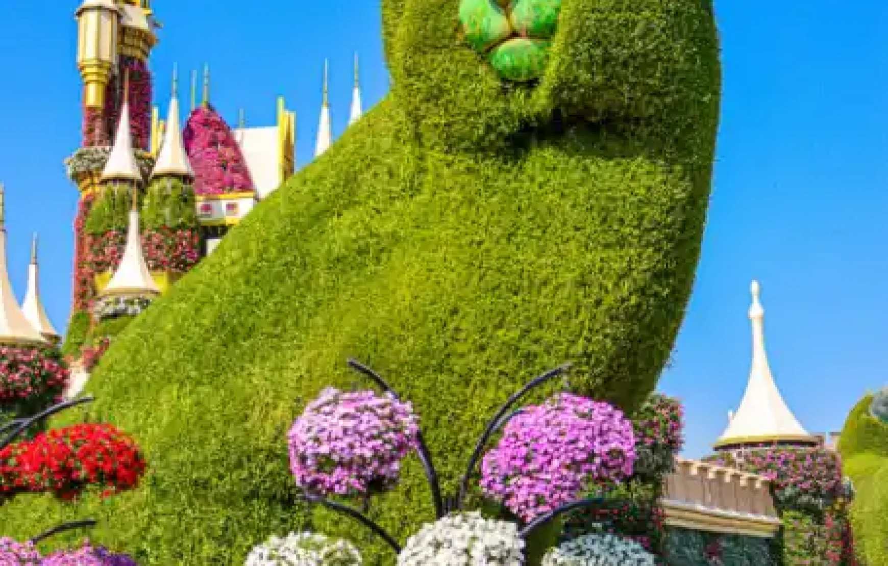 Miracle Garden-Dubai-entry-ticketsThe Dubai Miracle Garden is one of the most beautiful garden in the world. With over 150 million flowers, spanning numerous different species, the largest natural flower garden in the world is deserving of your visit.