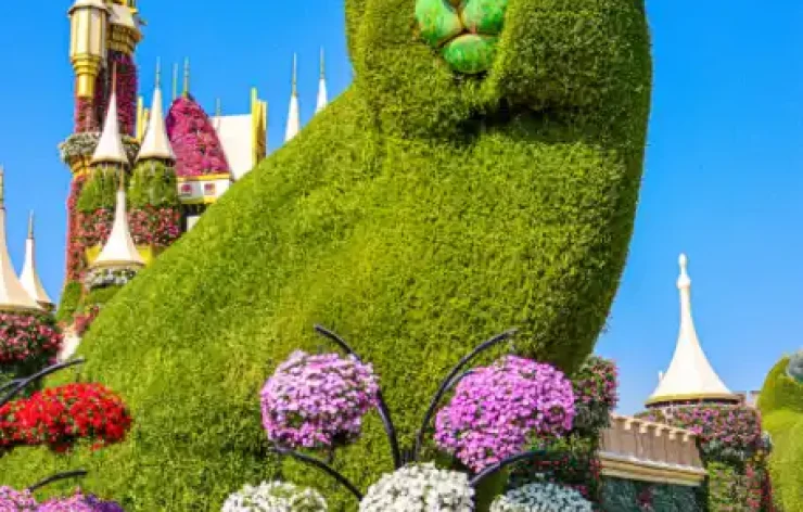 Entry Ticket: Combo, Dubai Miracle Garden+ Butterfly Garden
