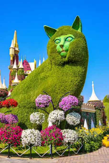 Miracle Garden-Dubai-entry-ticketsThe Dubai Miracle Garden is one of the most beautiful garden in the world. With over 150 million flowers, spanning numerous different species, the largest natural flower garden in the world is deserving of your visit.