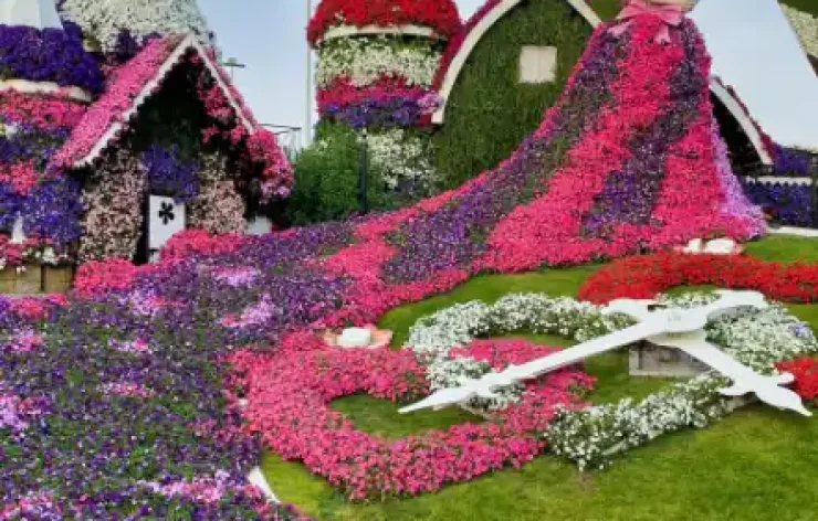 Miracle Garden-Dubai-entry-ticketsThe Dubai Miracle Garden is one of the most beautiful garden in the world. With over 150 million flowers, spanning numerous different species, the largest natural flower garden in the world is deserving of your visit.