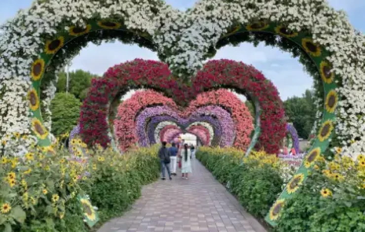 Miracle Garden-Dubai-entry-ticketsThe Dubai Miracle Garden is one of the most beautiful garden in the world. With over 150 million flowers, spanning numerous different species, the largest natural flower garden in the world is deserving of your visit.