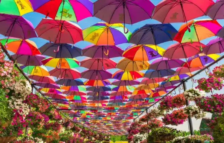 Miracle Garden-Dubai-entry-ticketsThe Dubai Miracle Garden is one of the most beautiful garden in the world. With over 150 million flowers, spanning numerous different species, the largest natural flower garden in the world is deserving of your visit.