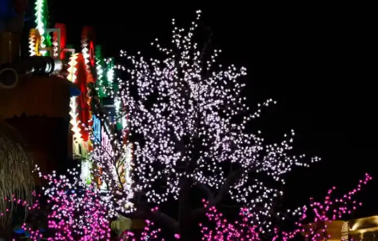 Entrance Tickets for Global Village Dubai