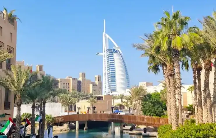 Full-Day-Wild-Wadi-Water-Park-tour-Dubai-With full-day access to Wild Wadi Waterpark, you can enjoy 12 acres of aquatic adventures at Wild Wadi Waterpark. You can find all the fun in the sun, whether you're looking for heart-pounding thrills or calm pools.