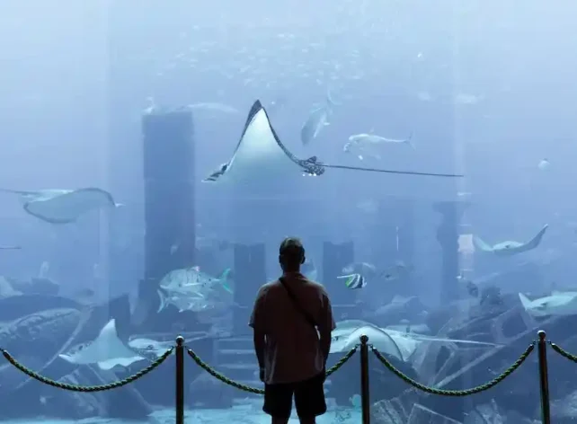 Experiences unlike anything you've ever had at a waterpark are what await you at Atlantis Aquaventure, located in the center of the grand Atlantis, The Palm Resort Full-day-Entrance-Tickets-to-Aquaventure-Waterpark-Dubai. Experiences unlike anything you've ever had at a waterpark are what await you at Atlantis Aquaventure, located in the center of the grand Atlantis, The Palm Resort Dubai.