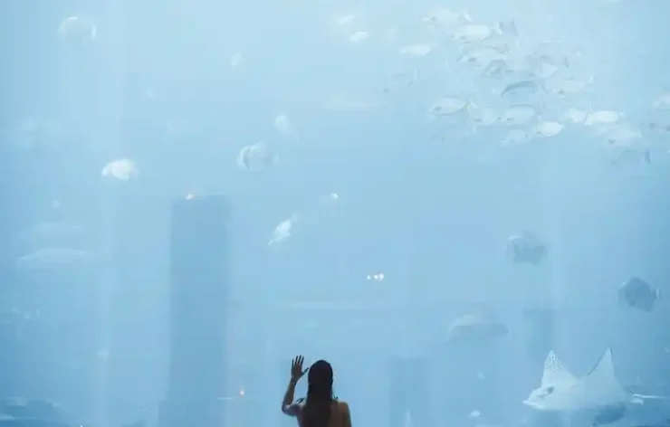 Experiences unlike anything you've ever had at a waterpark are what await you at Atlantis Aquaventure, located in the center of the grand Atlantis, The Palm Resort Full-day-Entrance-Tickets-to-Aquaventure-Waterpark-Dubai. Experiences unlike anything you've ever had at a waterpark are what await you at Atlantis Aquaventure, located in the center of the grand Atlantis, The Palm Resort Dubai.