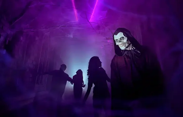 Tickets for entry into IMG Worlds of Adventure. IMG Worlds of Adventure is a theme park located indoors in Dubai, United Arab Emirates. It is the first large-scale theme park in Dubai. There are five "epic zones" in the park.  Discover IMG Worlds of Adventure, the biggest indoor theme complex in the world.