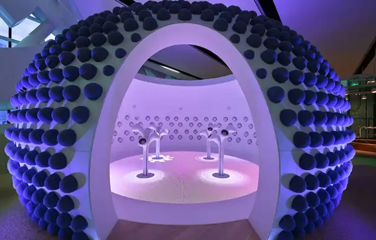 Museum of the Future Entrance Tickets: The Museum of the Future allows you to live in a world that is still 50 years away by fusing science, technology, and spirituality.