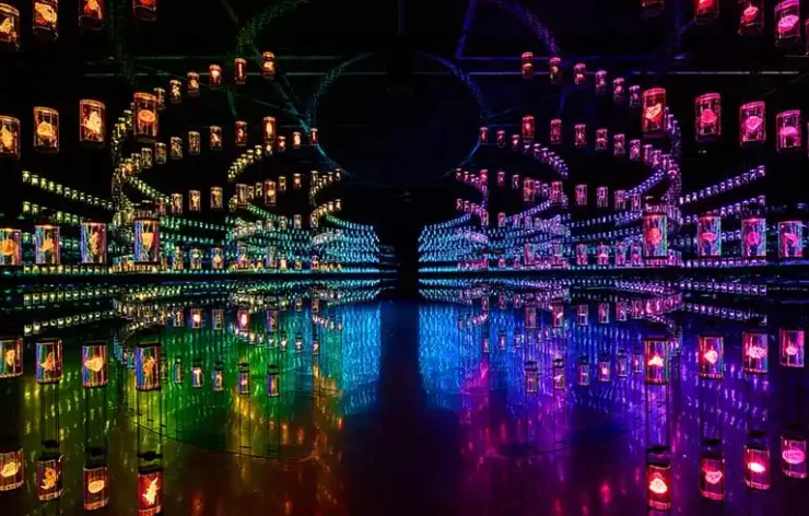 Museum of the Future Entrance Tickets: The Museum of the Future allows you to live in a world that is still 50 years away by fusing science, technology, and spirituality.