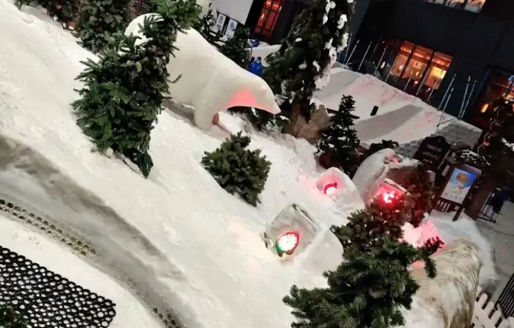 Snow Park-Ski Dubai Entrance Tickets (1)