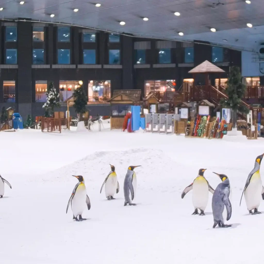 Snow Park – Ski Dubai With a 22,500 square meter indoor ski area, it is a ski resort. The park is maintained at a temperature of between -1 to -4 Celsius all year long. It is a section of Dubai, United Arab Emirates' Mall of the Emirates, one of the largest shopping complexes in the world.