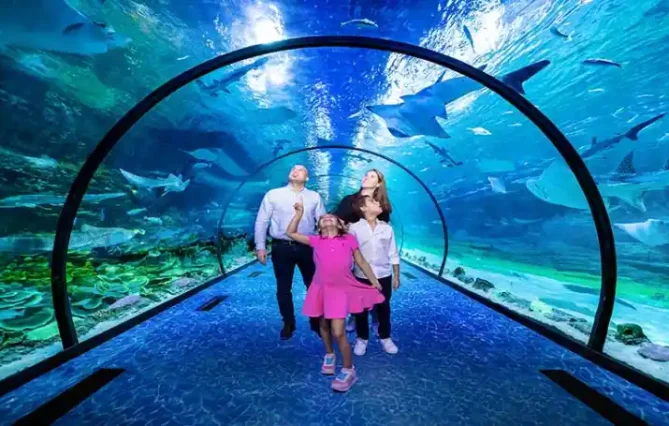The National Aquarium Abu Dhabi is one of the biggest aquarium in the region and contains 46,000 marine animals spread across 10 zones. The largest aquarium in the Middle East, measuring 9000 square meters, was created on an epic scale. Book your tickets online to the National Aquarium Abu Dhabi and discover the fascinating marine life.