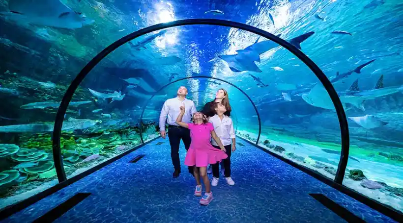 The National Aquarium Abu Dhabi is one of the biggest aquarium in the region and contains 46,000 marine animals spread across 10 zones. The largest aquarium in the Middle East, measuring 9000 square meters, was created on an epic scale. Book your tickets online to the National Aquarium Abu Dhabi and discover the fascinating marine life.