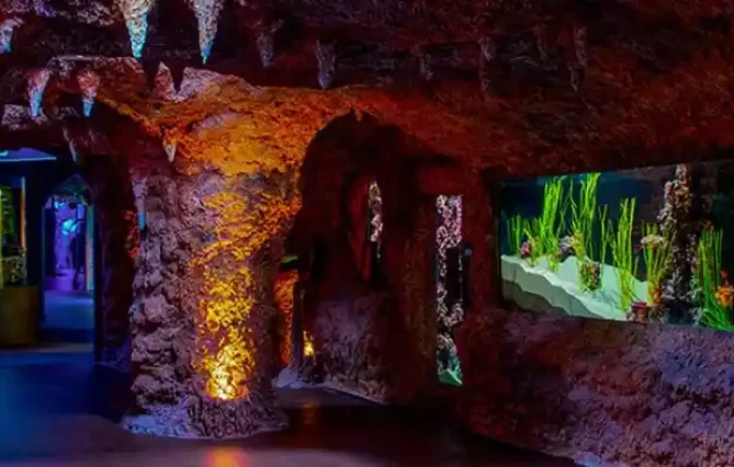 The National Aquarium Abu Dhabi is one of the biggest aquarium in the region and contains 46,000 marine animals spread across 10 zones. The largest aquarium in the Middle East, measuring 9000 square meters, was created on an epic scale. Book your tickets online to the National Aquarium Abu Dhabi and discover the fascinating marine life.