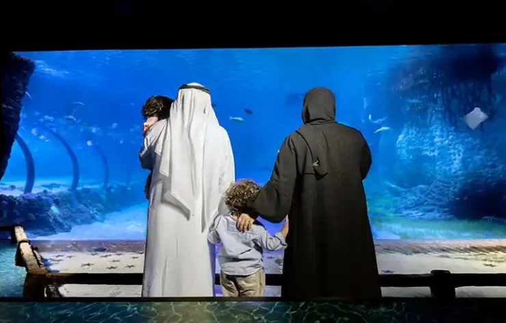 The National Aquarium Abu Dhabi is one of the biggest aquarium in the region and contains 46,000 marine animals spread across 10 zones. The largest aquarium in the Middle East, measuring 9000 square meters, was created on an epic scale. Book your tickets online to the National Aquarium Abu Dhabi and discover the fascinating marine life.